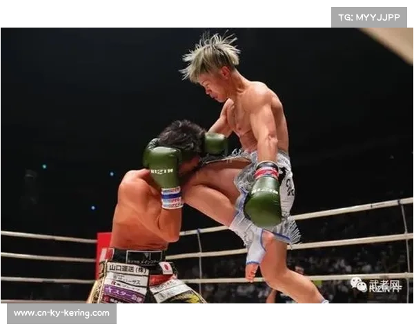 从踢拳神童到拳击世界战：那须川天心的转型如何重构搏击市场价值